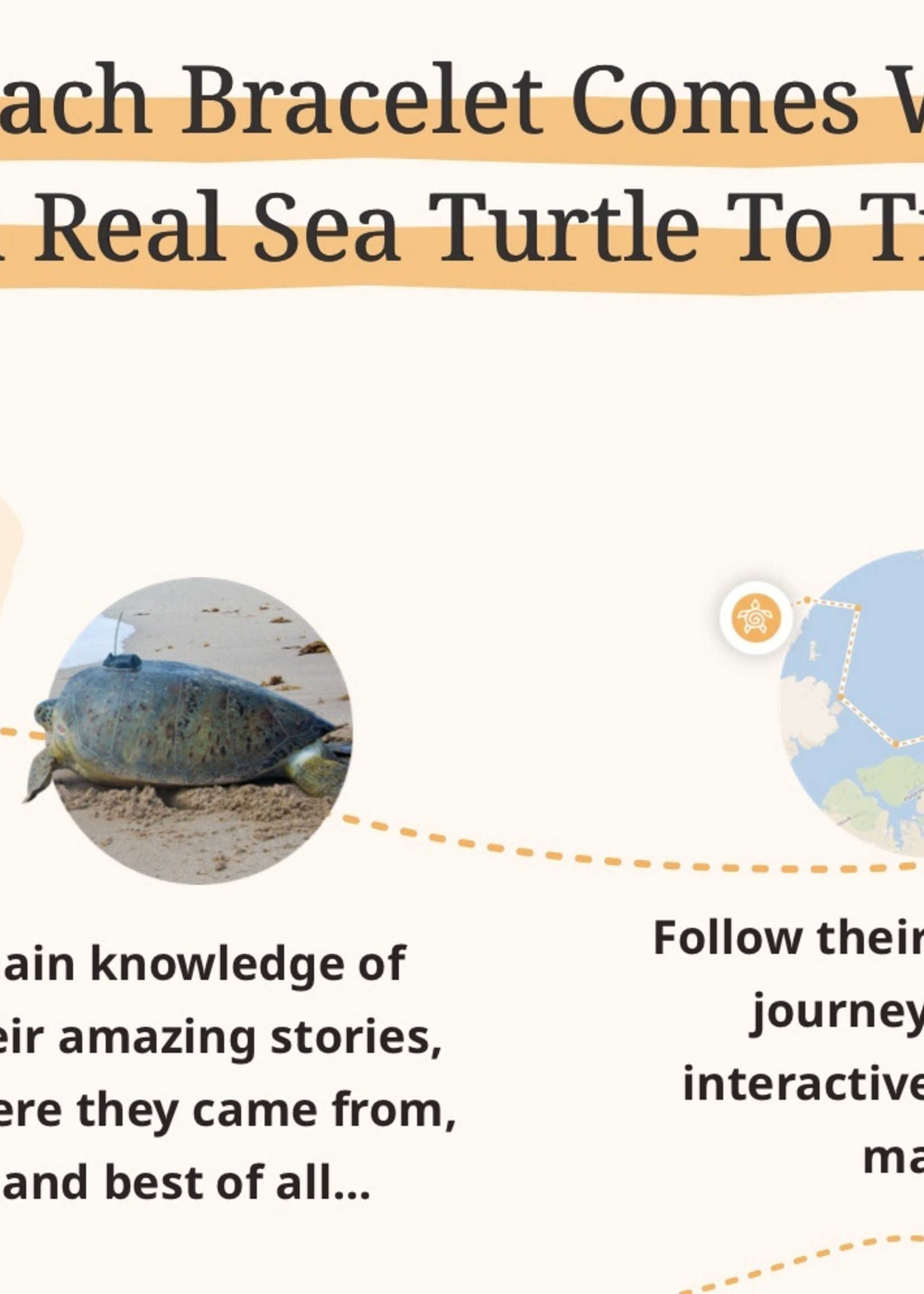 FAHLO JOURNEY BRACELET-TURTLE-SKY STONE