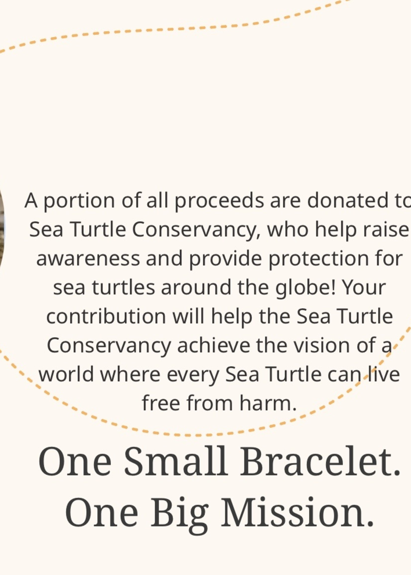 FAHLO JOURNEY BRACELET-TURTLE-SKY STONE