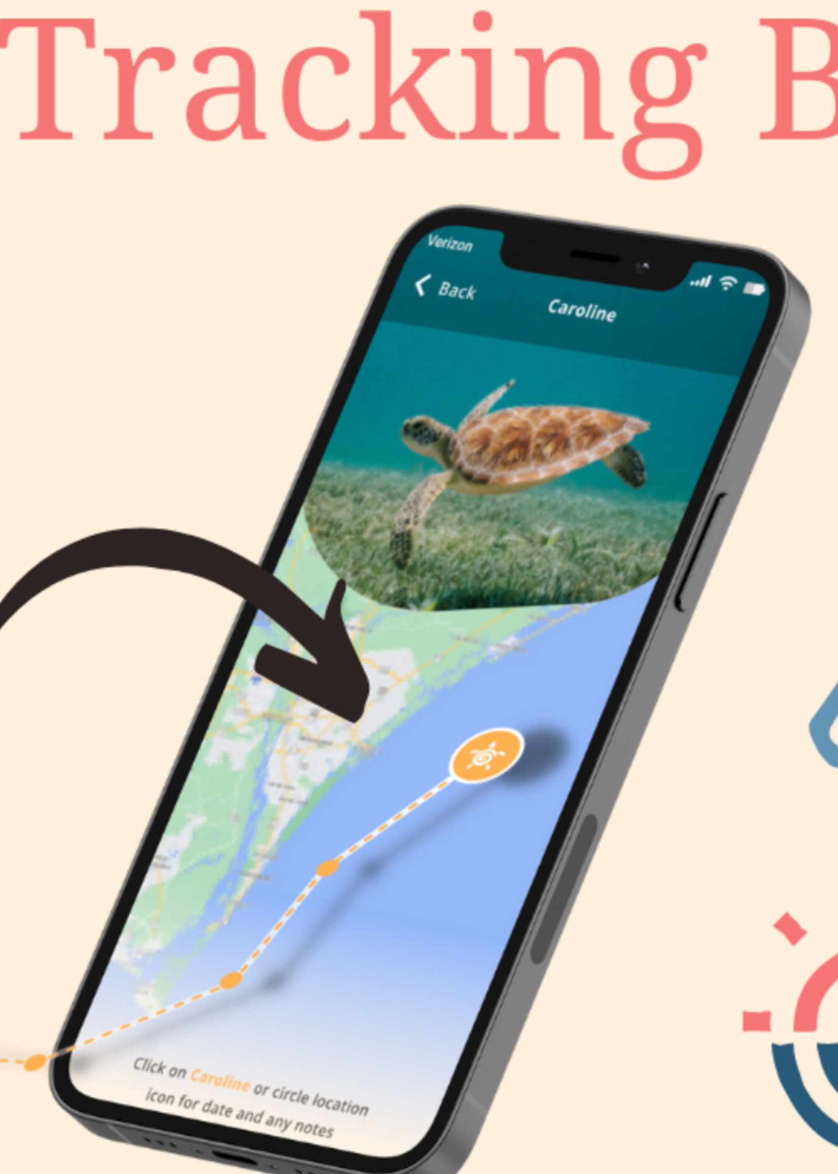 FAHLO JOURNEY BRACELET-TURTLE-SEA WHITE HOWLITE