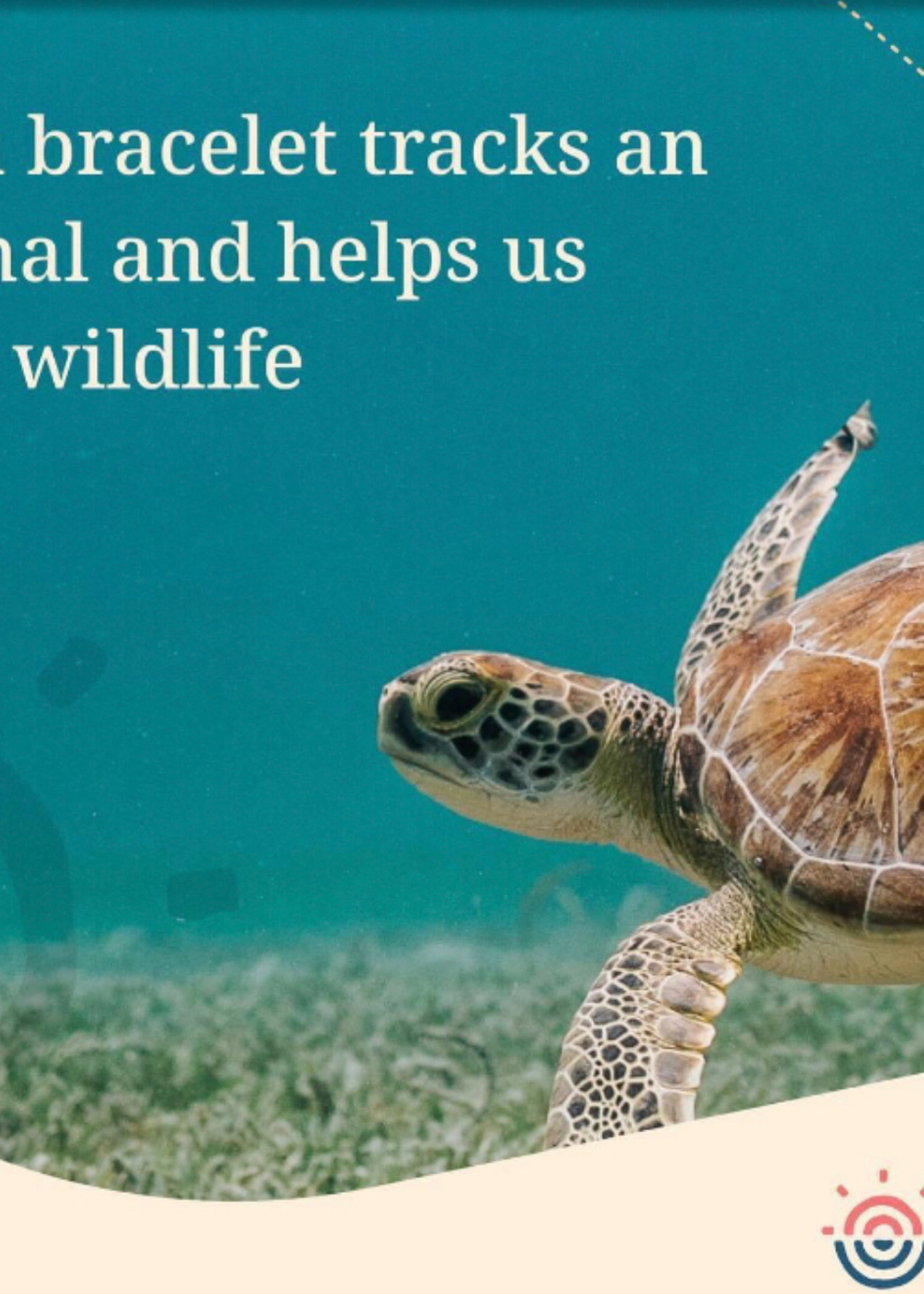 FAHLO JOURNEY BRACELET-TURTLE-SEA WHITE HOWLITE