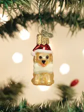 OLD WORLD CHRISTMAS MINI JOLLY PUP ORNAMENT | CARDSMART IN BUFFALO
