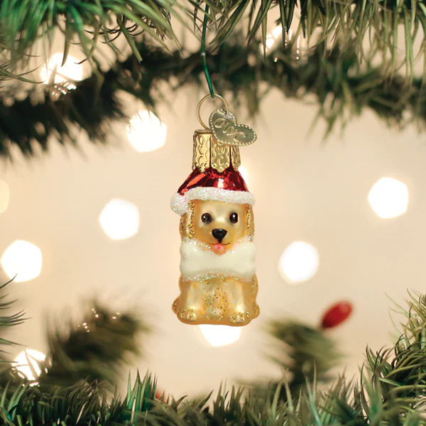 OLD WORLD CHRISTMAS MINI JOLLY PUP ORNAMENT | CARDSMART IN BUFFALO