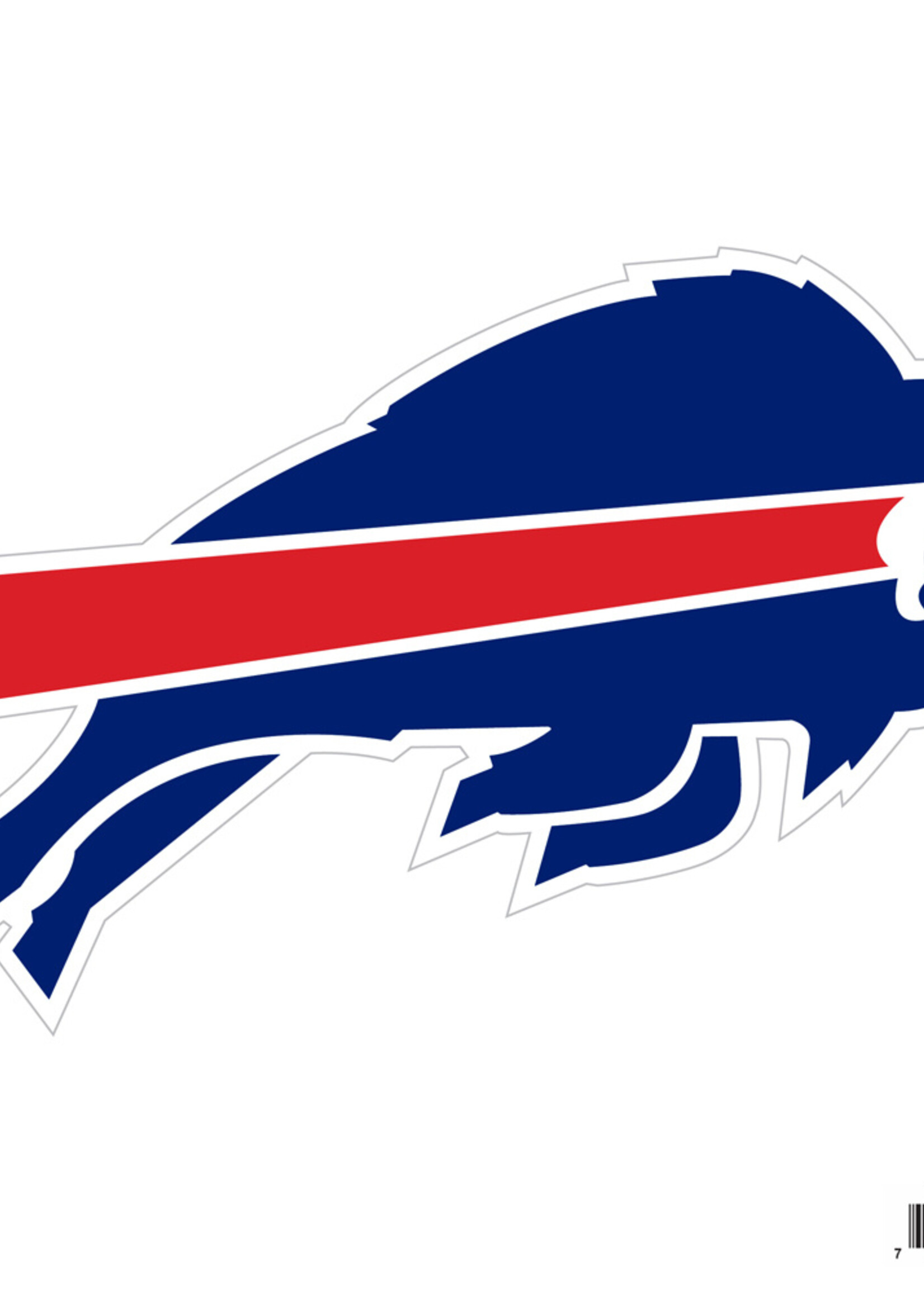 BUFFALO BILLS OUTDOOR MAGNET