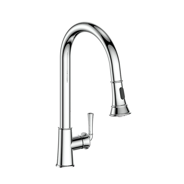Vogt VOGT MURAU - KITCHEN FAUCET WITH 2-FUNCTION PULL-DOWN SPRAY