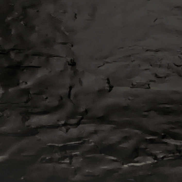 Fleurco Fleurco Aurora Textured Shower Base