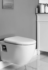 Contrac Contrac Canaan Wallmount White Toilet w Carrier