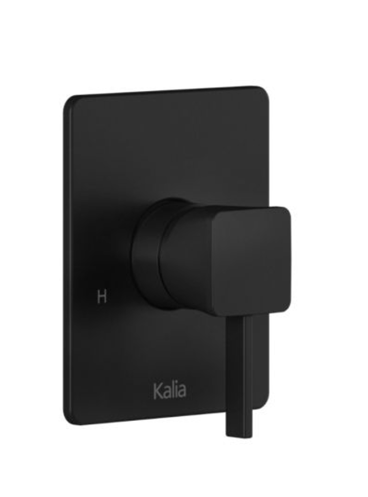 Kalia Kalia Sobrio PB6- Hand Shower w/ Diverter Tub Spout- Matte Black