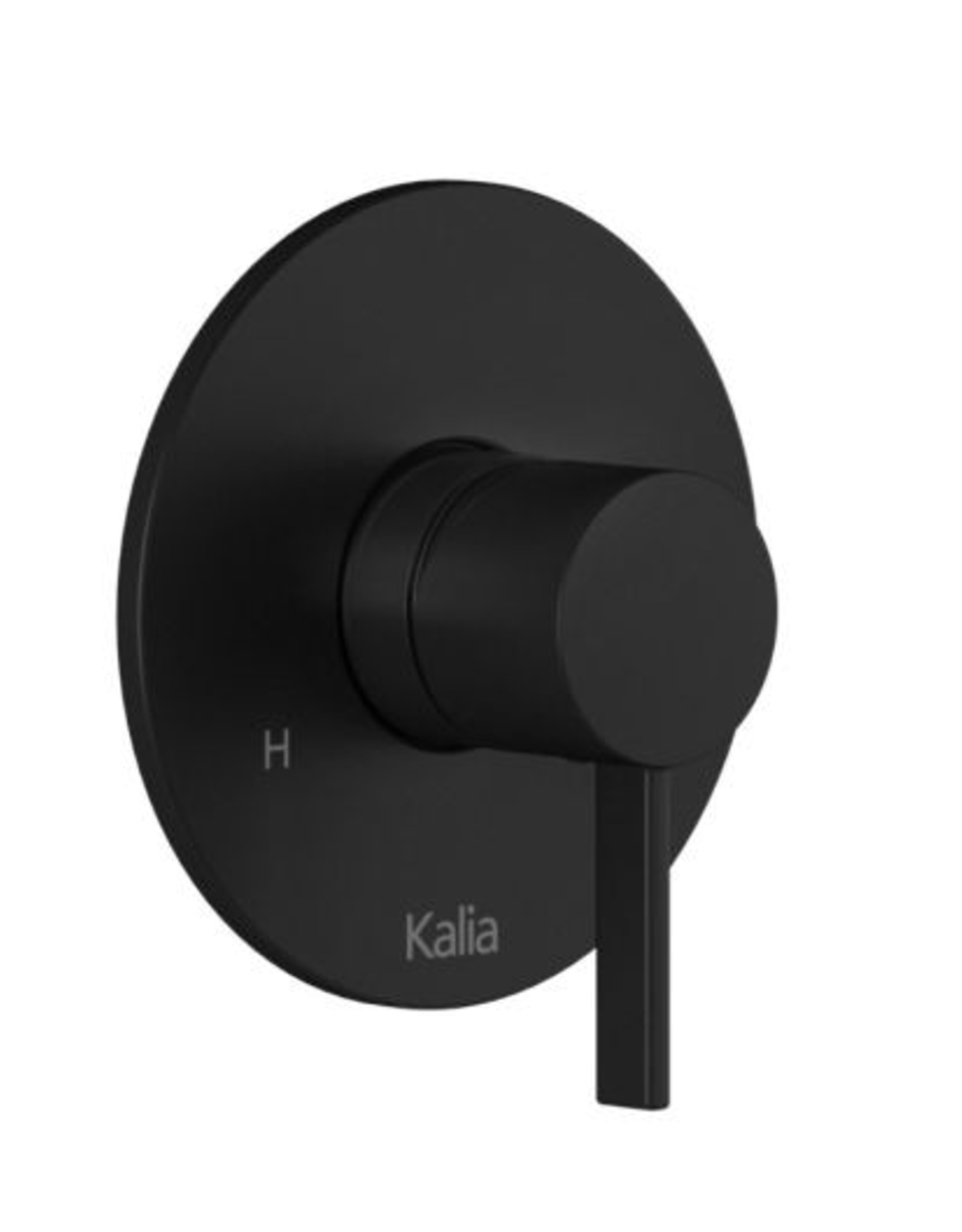 Kalia Kalia Basico PB6- Hand Shower w/ Diverter Tub Spout- Matte Black