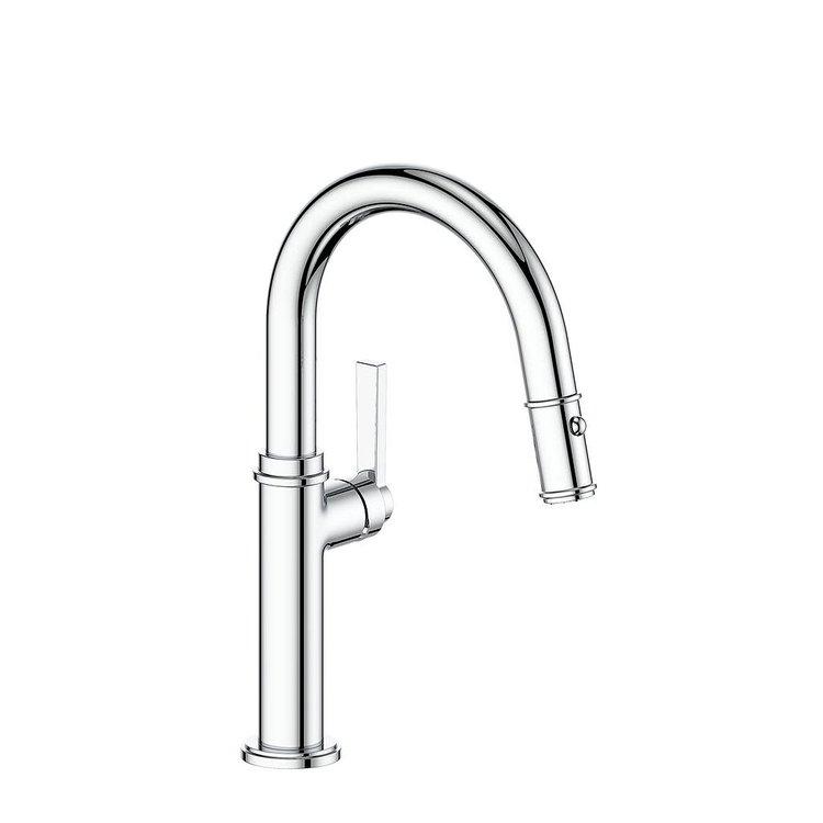 Vogt Vogt Zehn Pulldown Bar Faucet