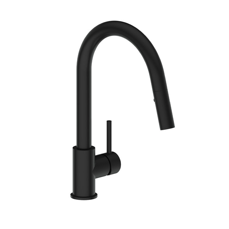 Vogt VOGT TRAUN B - KITCHEN FAUCET WITH 2-FUNCTION PULL-DOWN SPRAY