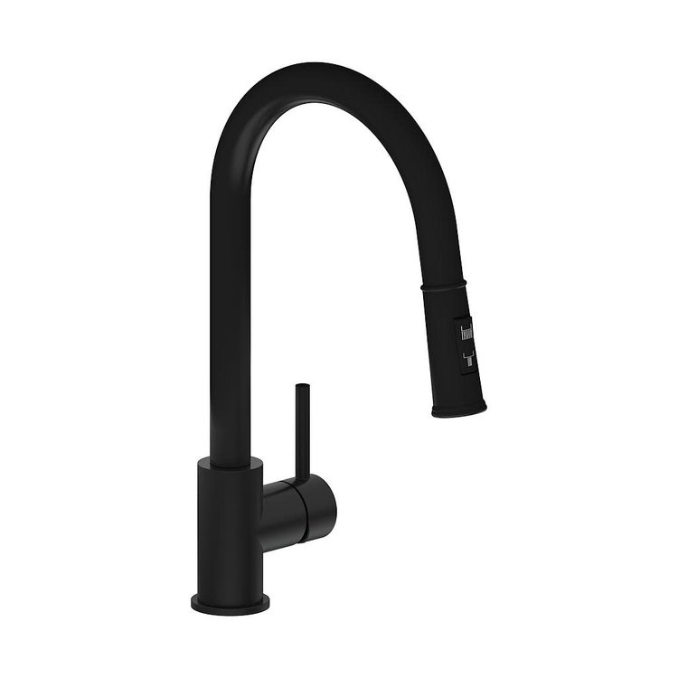 Vogt VOGT TRAUN D- KITCHEN FAUCET WITH 2-FUNCTION PULL-DOWN SPRAY