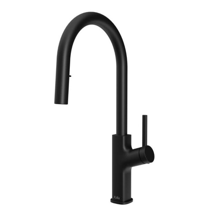 Kalia Kalia Masimo Diver Single Handle Pull-Down Kitchen Faucet