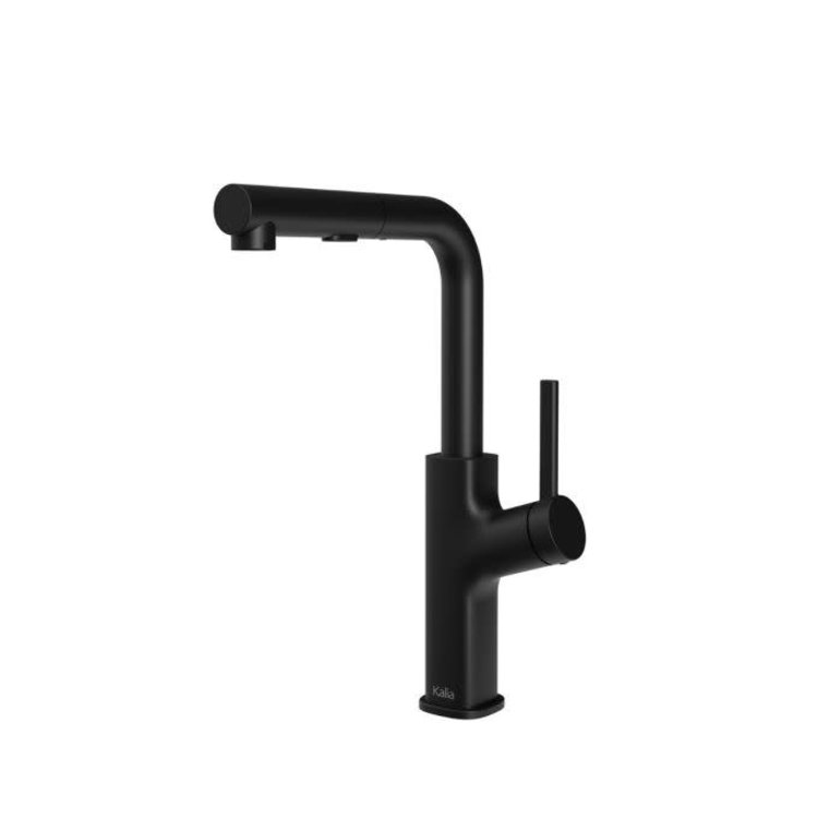 Kalia Kalia Masimo Surfer Single Handle Pull-Out Kitchen Faucet