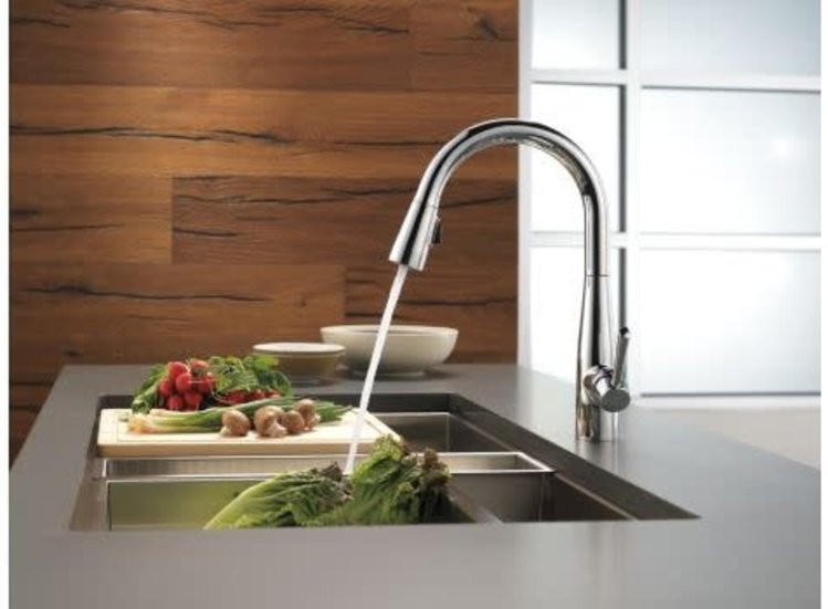 Delta Essa Kitchen Faucet