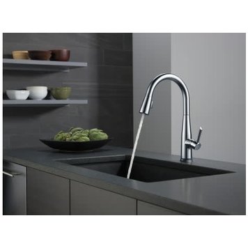 Delta Essa Kitchen Faucet w Touch