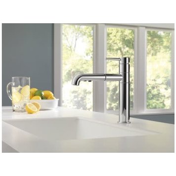 Delta Trinsic Pull Out Kitchen Faucet
