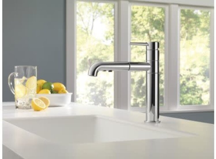Delta Trinsic Pull Out Kitchen Faucet