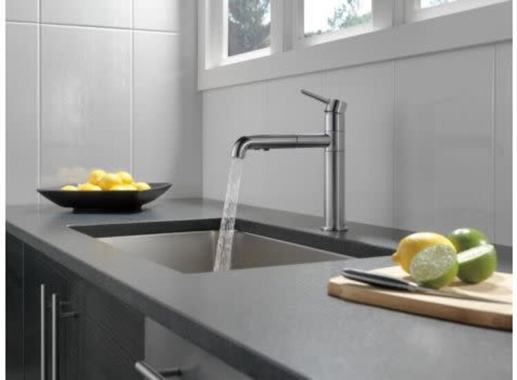 Delta Trinsic Pull Out Kitchen Faucet