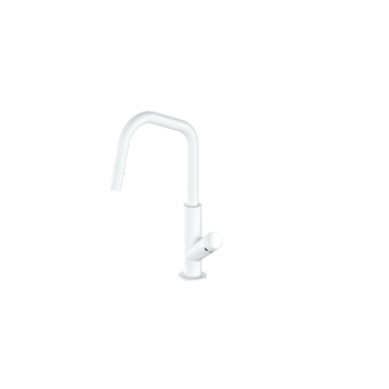 Vogt Vogt Mond Angled Pull Down Kitchen Faucet