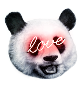 Shyglo Shyglo - Love Panda