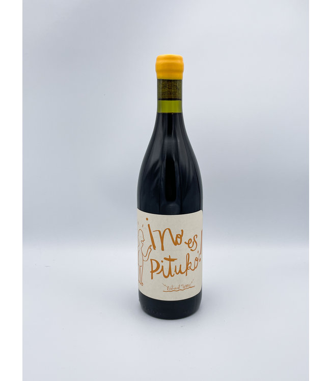 Echeverria No Es Pituko Cabernet Franc 2023