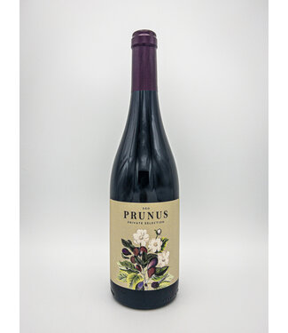 Gota Prunus Tinto 2022