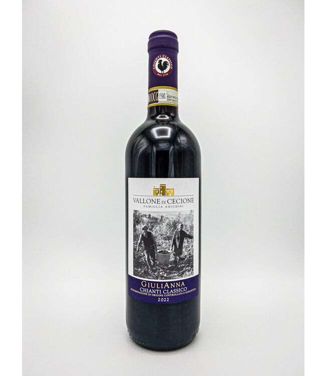 Vallone di Cecione Chianti Classico 2022