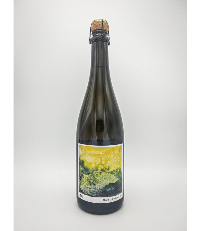 Chateau de Montdomaine Touraine Methode Traditionelle Blanc Sparkling