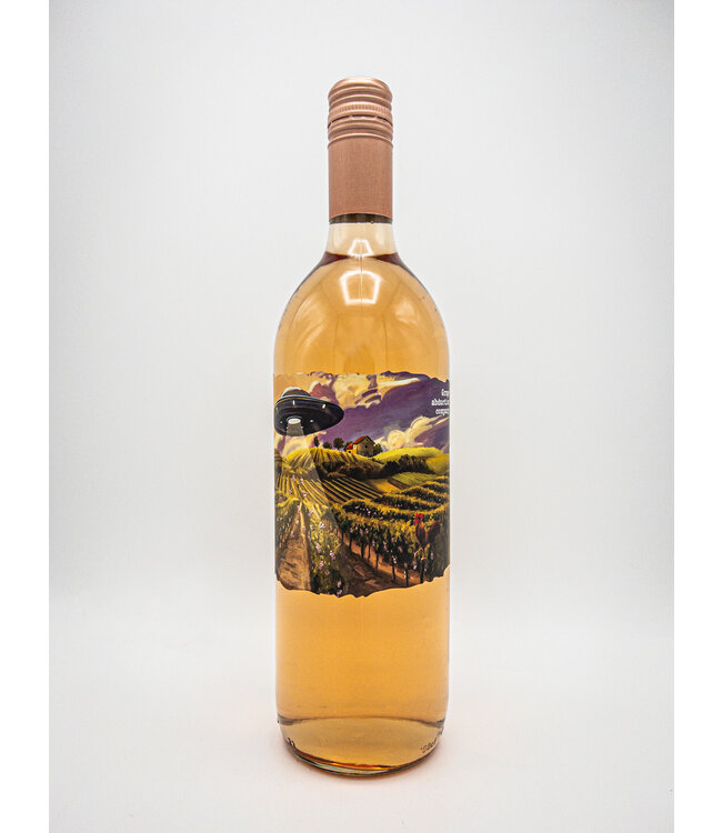 Grape Abduction Rose 2024
