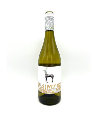 Shaya Rueda Verdejo