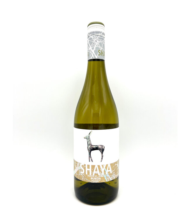 Shaya Rueda Verdejo