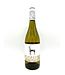Shaya Rueda Verdejo
