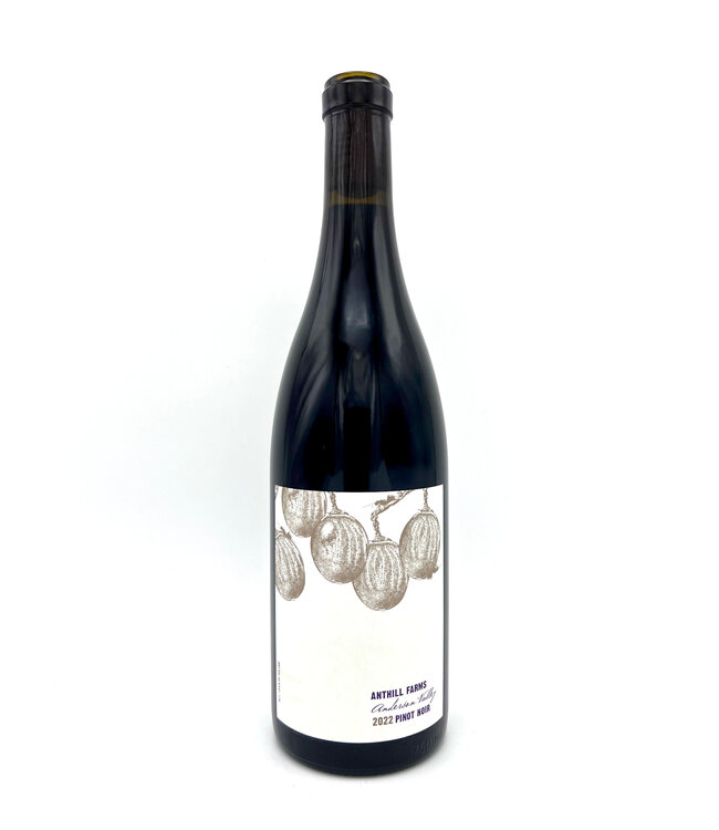 Anthill Farms Anderson Valley Pinot Noir 2022
