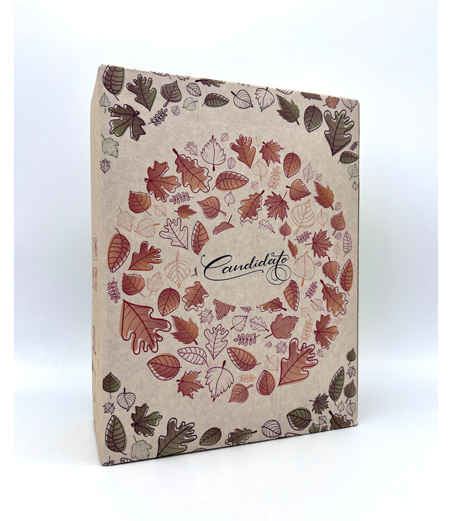 Candidato Red Box Wine 3Liter