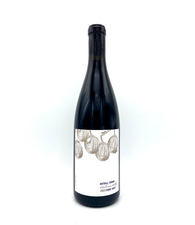 Anthill Farms Anderson Valley Pinot Noir 2023