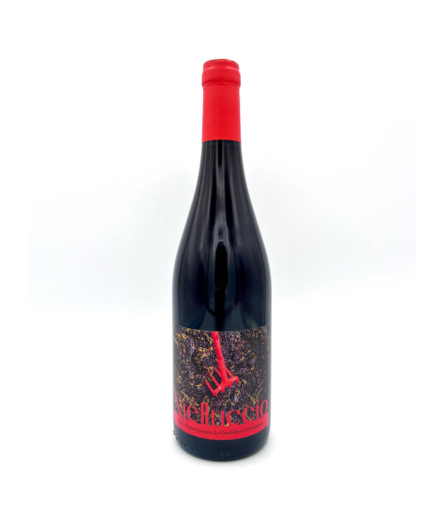 Domaine le Cendrillon Nielluccio 2025