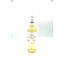 Chateau Graville Lacoste Bordeaux Blanc 2025