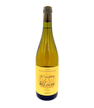 Joe Chandellier Alluvions Blanc Viognier  2025