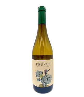 Gota Prunus Dao Branco 2023