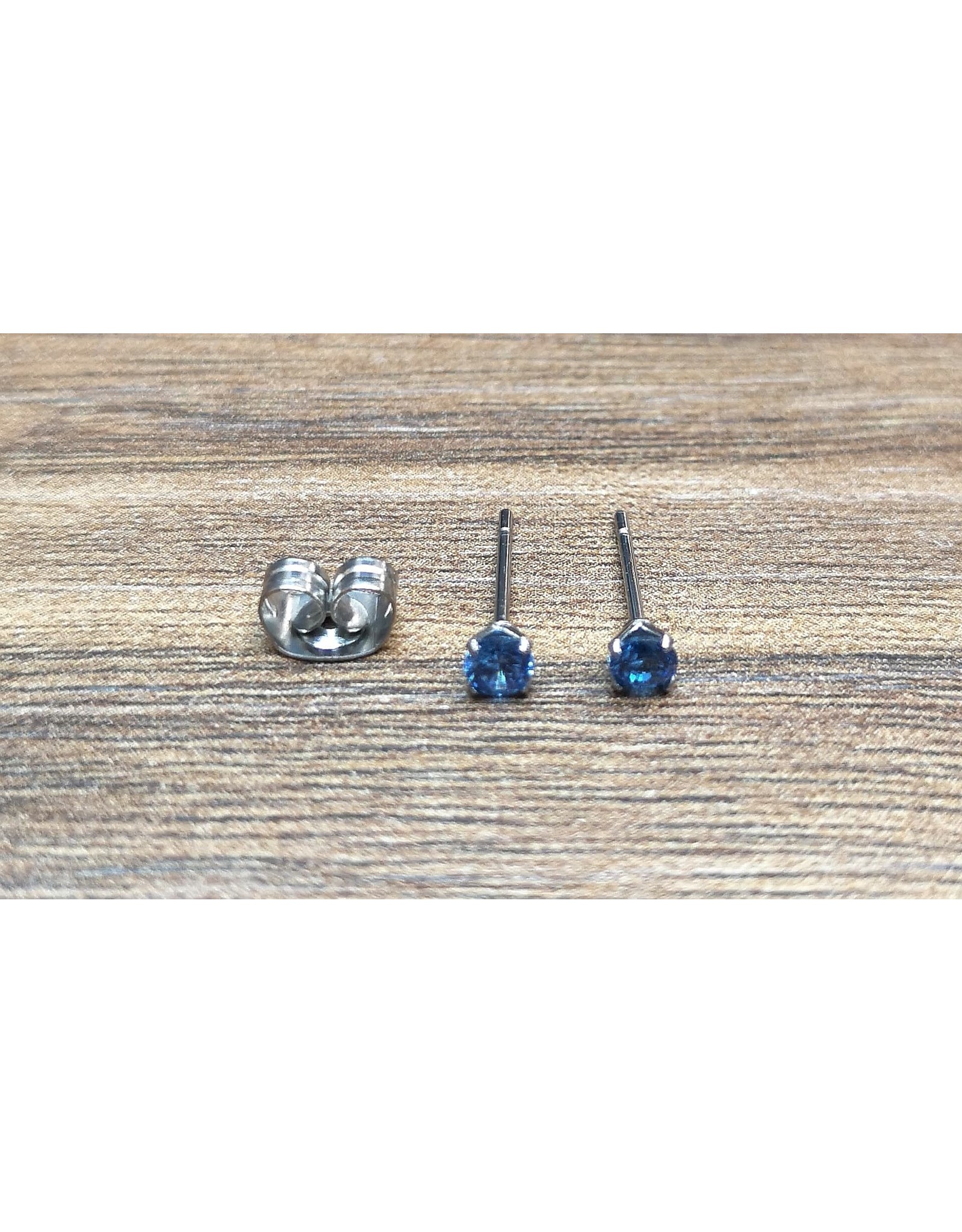 Stainless Boucle d'oreille Diamant Papillon