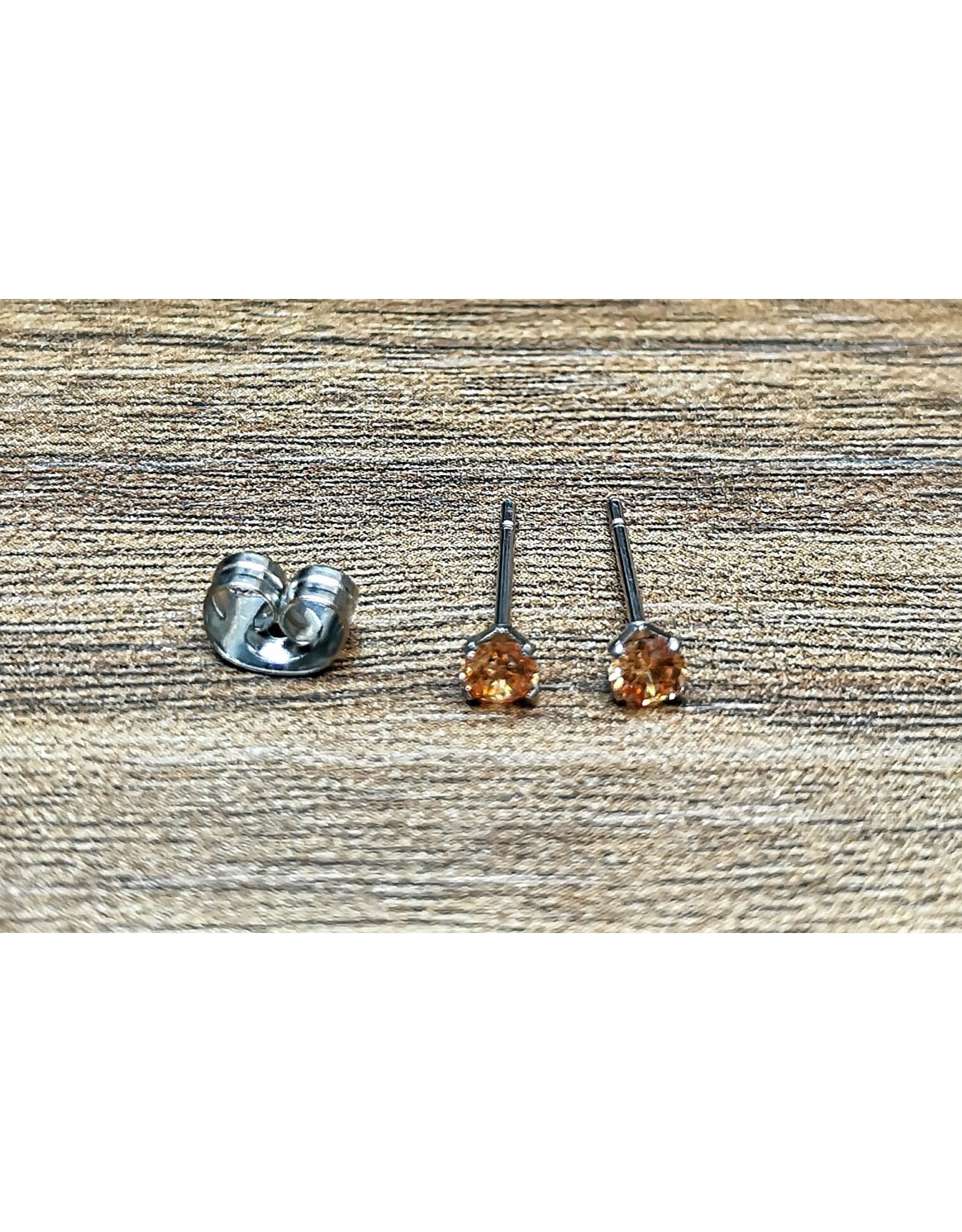 Stainless Boucle d'oreille Diamant Papillon
