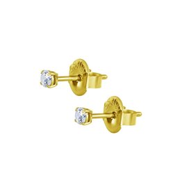 Stainless Boucle d'oreille Gold Pvd 24K