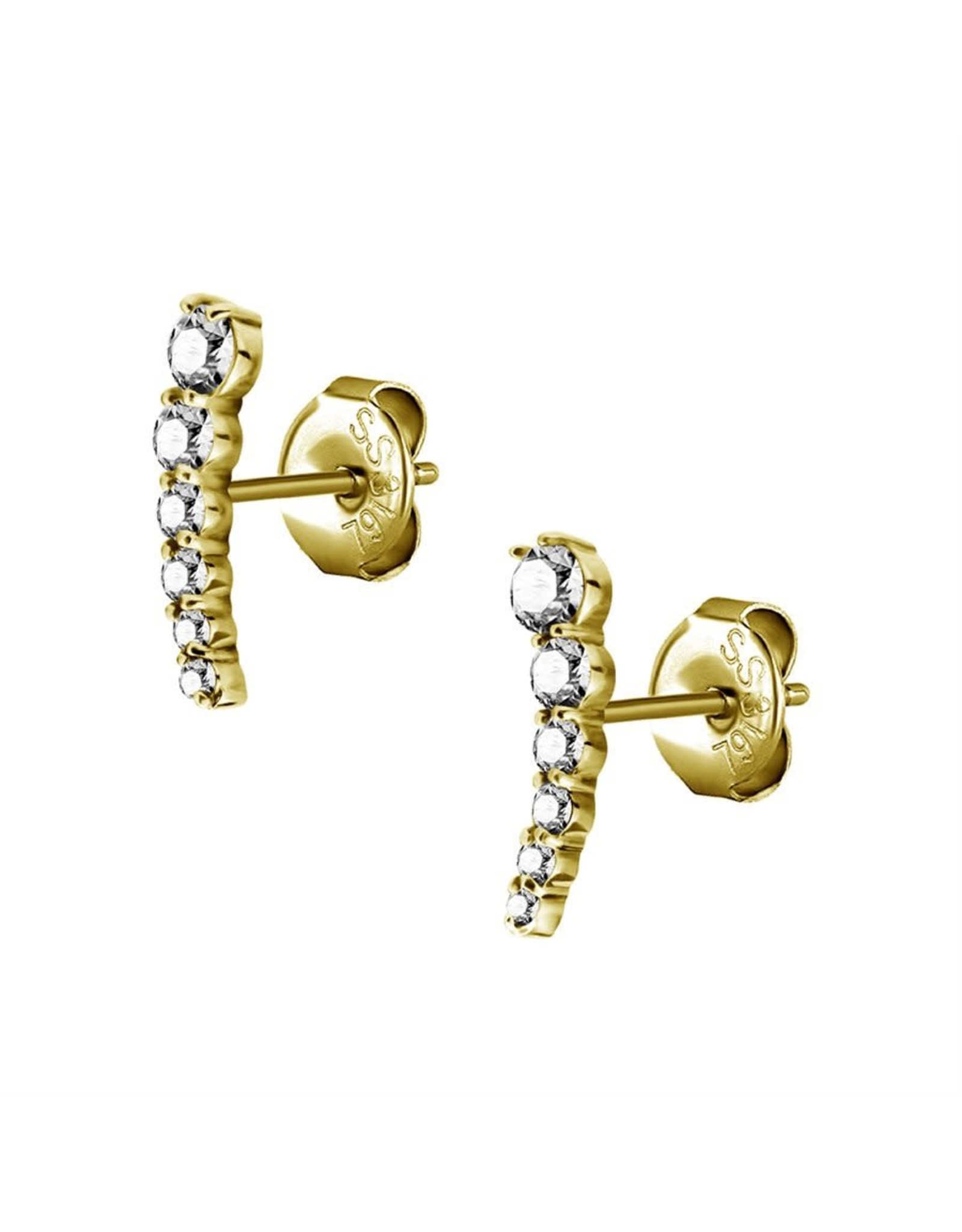 Stainless Boucle d'oreille 6 pierres