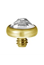 Gold PVD Tête de dermal Gold Pvd diamant