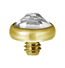 Gold PVD Tête de dermal Gold Pvd diamant