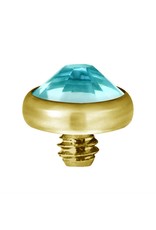 Gold PVD Tête de dermal Gold Pvd diamant