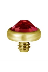 Gold PVD Tête de dermal Gold Pvd diamant