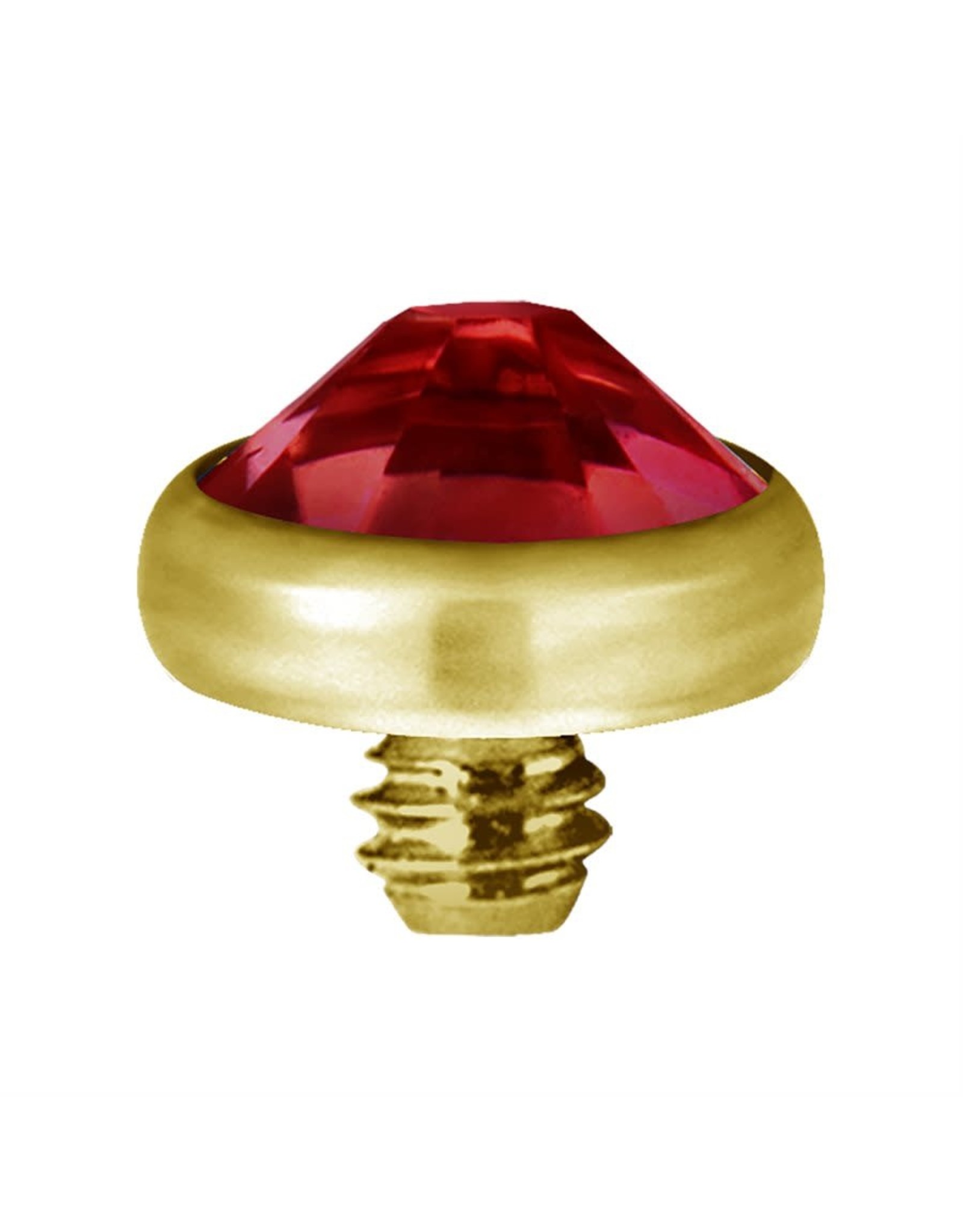 Gold PVD Tête de dermal Gold Pvd diamant