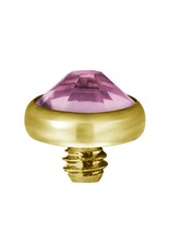Gold PVD Tête de dermal Gold Pvd diamant
