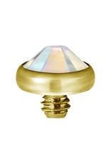 Gold PVD Tête de dermal Gold Pvd diamant